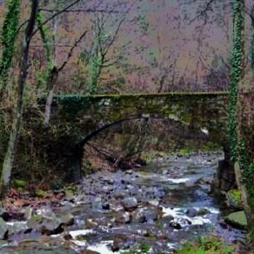 Cantagallo - Vernio (PO)
Riserva naturale