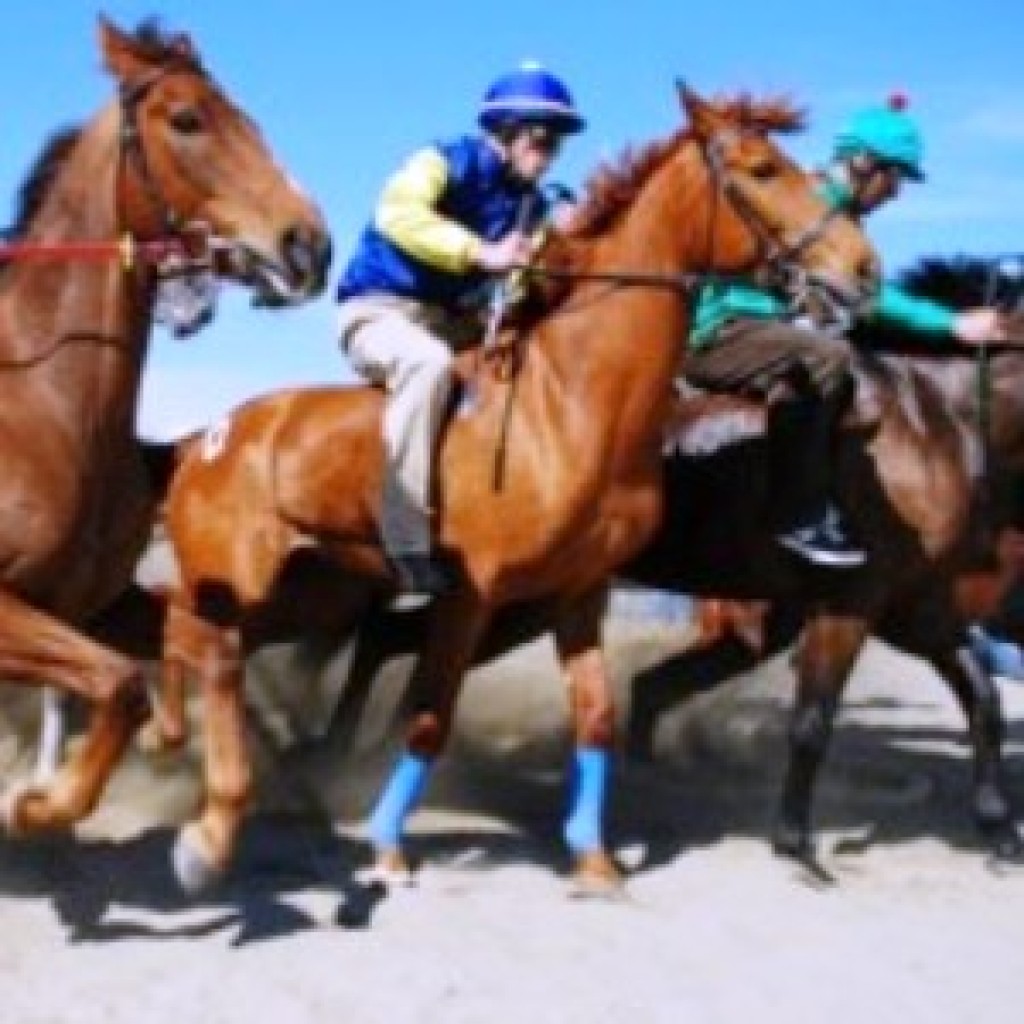 Montepulciano (SI)
Corse di cavalli