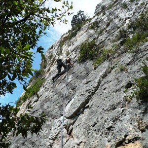 free climbing