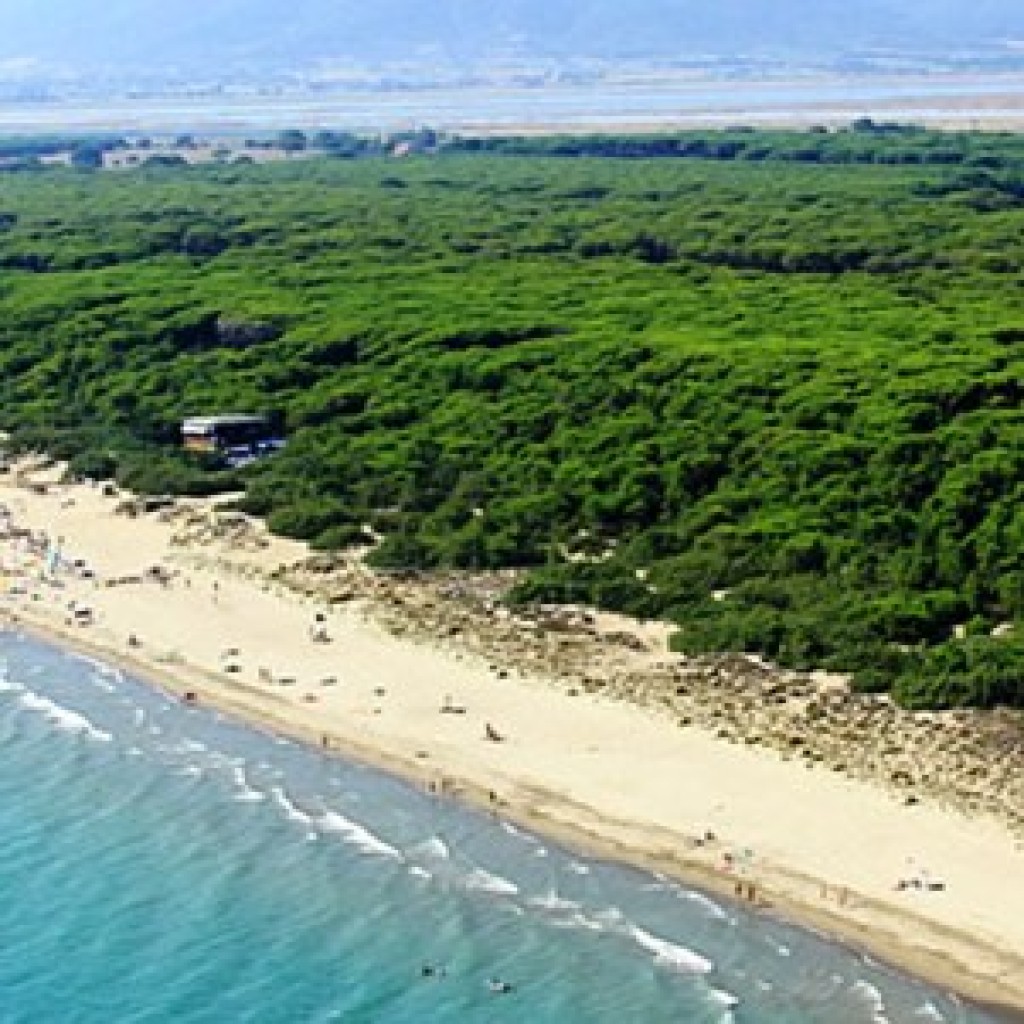 Bibbona (LI)
Località con belle spiagge di sabbia.