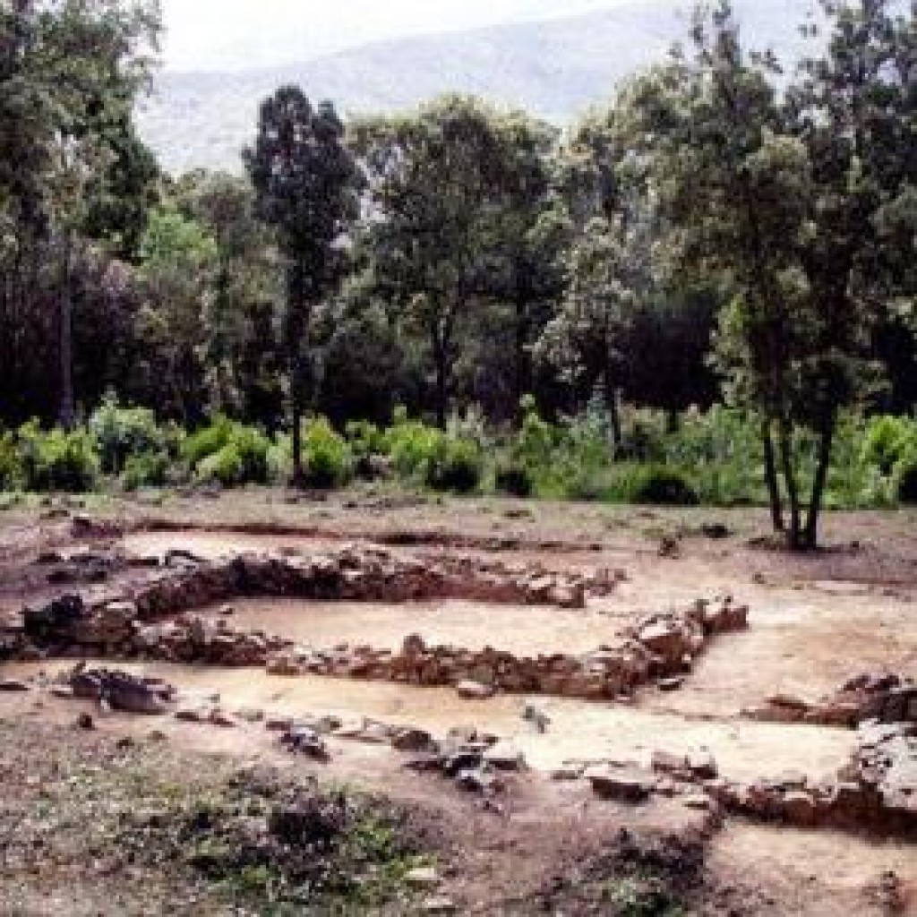Scarlino (GR)
Parco archeologico con tombre etrusche