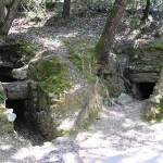 parco archeologico roselle1