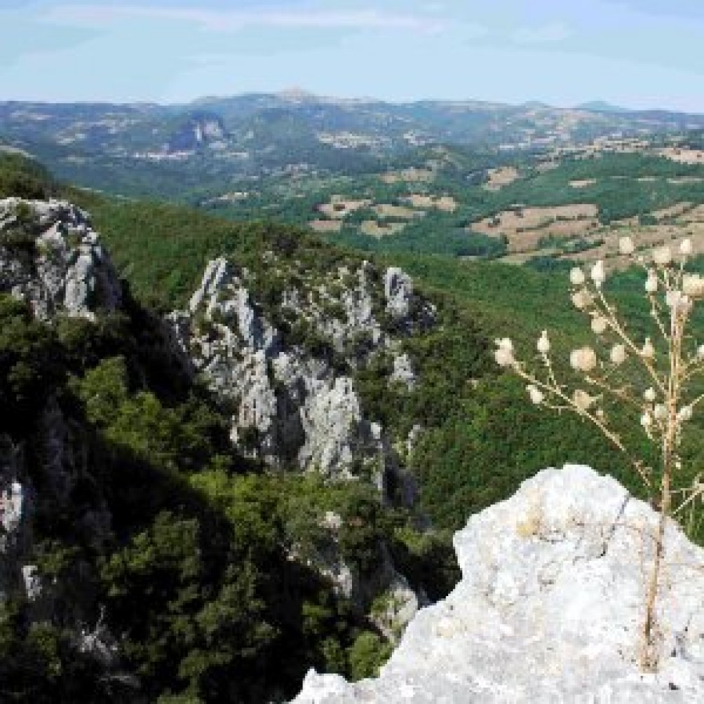 Semproniano (GR)
Riserva naturale con gole e grotte.