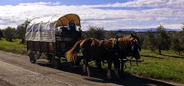 Tour in carrozza nel Chianti