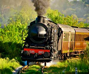 Steam train excursions 2016