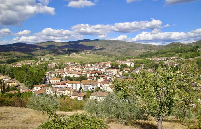 Maurizio Brogiani vini