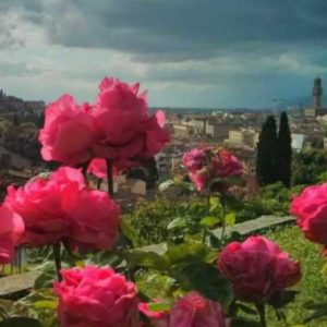 Giardino delle Rose - Firenze