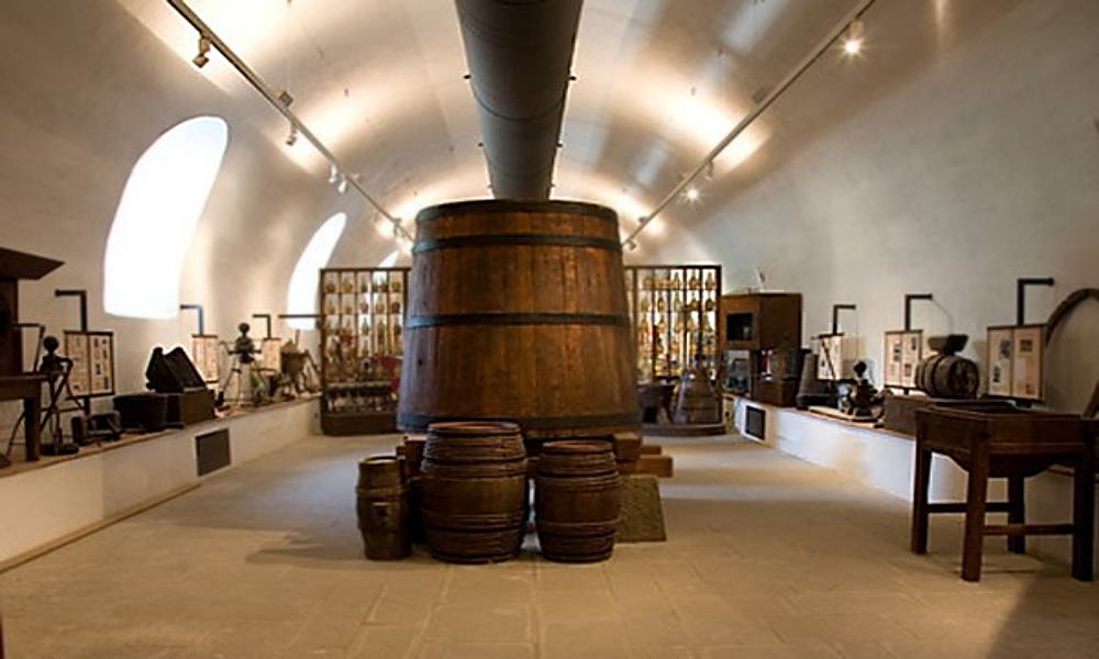 Rufina - Museo del vino
