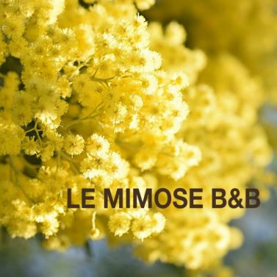 Le Minose B&#038;B
