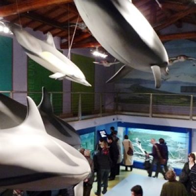 Museo di Storia Naturale della Maremma