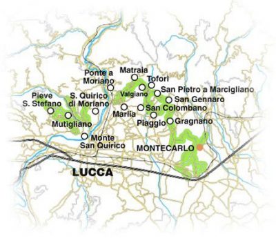 Strada del vino delle Colline Lucchesi e Montecarlo