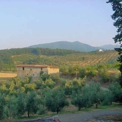 Riserva naturale di Monteferrato