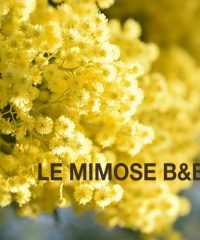 Le Minose B&B