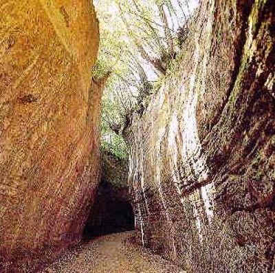 Vie Cave