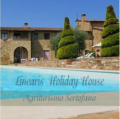 Linearis Holiday House