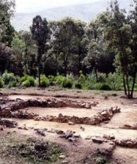 Parco Archeologico di Poggio Tondo