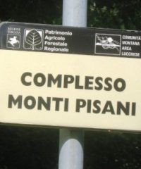Monti Pisani