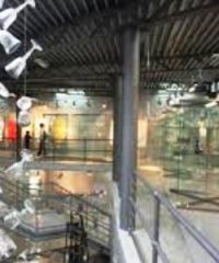 Museo del Cristallo
