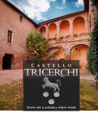 Castello Tricerchi Winery