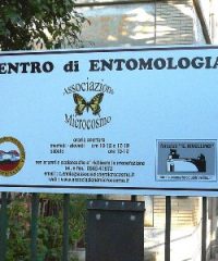 Museo di Entomologia